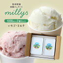 【P3倍★5/30 0:00~6/2 9:59】 松本牧場 本格ジェラート millys 1000ml×2個セット