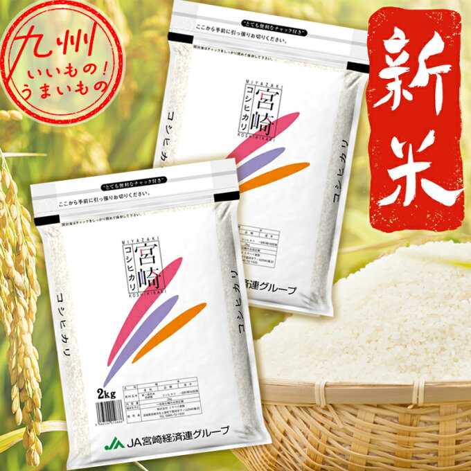 【令和5年産】 新米 宮崎県産こしひかり 小分けセット 4kg（2kg×2袋） 精米...