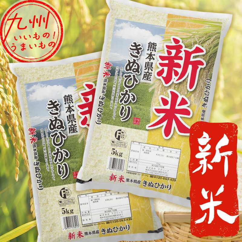 【期間限定SALE：?9/20まで】 [令和5年産] 新米　熊本県産きぬひかり 10...