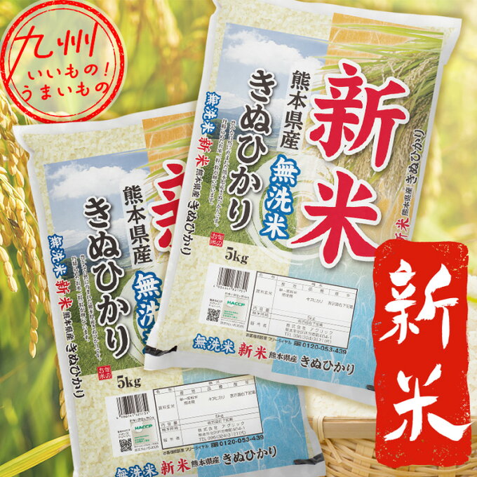 【期間限定SALE：?9/20まで】 [令和5年産] 新米　無洗米 熊本県産きぬひかり 10kg（5kg×2袋） 米 きぬひかり キヌヒカリ 精米 こめ ライス 白米 産地直送 熊本 熊本県 熊本のお米 くまもと 熊本県産 送料無料