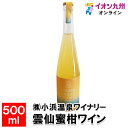 【P3倍★5/30 0:00~6/2 9:59】 雲仙蜜柑ワイン