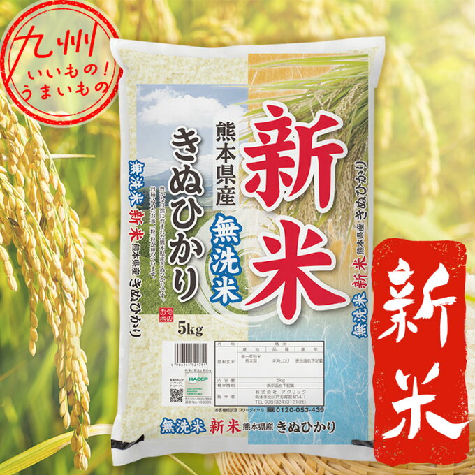 【期間限定SALE：?9/20まで】 [令和5年産] 新米　無洗米 熊本県産きぬひかり 5kg 米 キヌヒカリ きぬひかり 精米 こめ ライス 白米 産地直送 熊本 熊本県 熊本のお米 くまもと 熊本県産 送料無料