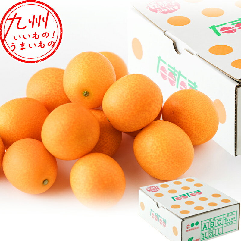 【P3★3/15 0:00~3/18 9:59】 宮崎県産 完熟きんかん「たまたま」1kg箱のサムネイル