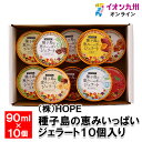 種子島の恵みいっぱいジェラート10個入り 簡易段ボール包装 90ml×10個(リッチミルク・塩キャラメル・とうきびチョコ・抹茶・安納芋・ぽんかん・チョコレート・ラズベリー・ヘーゼルナッツ・ヨーグルト)