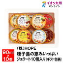 メーカー名 (株)HOPE 内容量 90ml×10個(リッチミルク・塩キャラメル・とうきびチョコ・抹茶・安納芋・ぽんかん・チョコレート・ラズベリー・ヘーゼルナッツ・ヨーグルト) 原産国・原産地 日本、フランス アレルゲン 乳成分 商品説明 恵み溢れる種子島で育ったこだわりの食材を中心に使用した濃厚なジェラートです。恵み溢れる種子島のおいしい水と空気、きらめく太陽で育ったこだわりの食材を中心に使用した濃厚なジェラートです。島内の農家さんが心を込めて作った食材を、より多くの人に知ってもらいたい、より美味しく食べてもらいたい…。数年の構想を経て、“ジェラート”にたどり着きました。本場イタリア・ボローニャへの研修、家族や地域の人の支えのもと、 定番から季節限定の味、さまざまなフレーバーをお届けします。【リッチミルク】種子島の酪農家が愛情たっぷりそそいだ健康な乳牛から搾った、良質な種子島牛乳のみを使用した甘みとコクのあるジェラートです。【塩キャラメル】ミネラルをバランスよく含んだ昔ながらの製法の手作り塩、種子島産関さんの塩『七つの海』を使用、キャラメルソースはジェラテリエが手作りしています。キャラメルと塩の組み合わせが絶妙な一品となっております。【とうきびチョコ】種子島のさとうきびをHOPEの皆で仕上げた手作り黒糖を使用。種子島では≪とうきび≫と呼びます。特徴的な味わいのとうきびにチョコレートをかけてお子様から大人までくせになる味わいとなっております。【抹茶】種子島の田上製茶さんの茶葉を使用。濃厚な深い味わいと爽やかな香り漂う田上製茶さん拘りの減農薬茶葉をふんだんに使用しております。【安納芋】種子島のアイランドファームさんの安納芋を使用。蜜が溢れるほどに熟成されたクリーミーで濃厚な甘さ。農薬、除草剤を使わずに作る拘りの農家さんの安納芋を使用して作る安納芋ジェラートは世界で一番美味しいと言っても過言ではありません。【ポンカン】種子島平山の長田農園の減農薬で作るポンカンを使用。HOPEからすぐ近くにある風光明媚な50年の歴史ある通称みかん山で作られるポンカンは種子島の果実の中でもおすすめとなっており、ジェラートにした時の酸味が口の中で香りと相まって至極の一品となっています。【チョコレート】イタリア最高級クーベルチュール。マダガスカル・サンビラーノ産クリオロ種カカオを使用。クリオロ種のカカオ豆特有の酸味と力強い香りが種子島の牛乳とコラボした至極の一品。世界中のショコラティエが認めるカカオと種子島牛乳の相性の良さを是非お召し上がり下さい。【ラズベリー】爽やかな赤が美味しさを引き立て、甘酸っぱく香り広がるフランス産ラズベリーを使用したソルベ。店舗では老若男女問わず大人気のフレーバーとなっています。【ヘーゼルナッツ】優雅な甘さが広がり、クセになる香ばしさ。イタリア、シチリア産のヘーゼルナッツをふんだんに使用。種子島牛乳とのコラボレーションは絶品となっています。【ヨーグルト】程よい酸味とさっぱりとした後味のヨーグルトに相性の良いラズベリーソースが合わさり濃厚かつ爽やかな味わいのジェラートです。