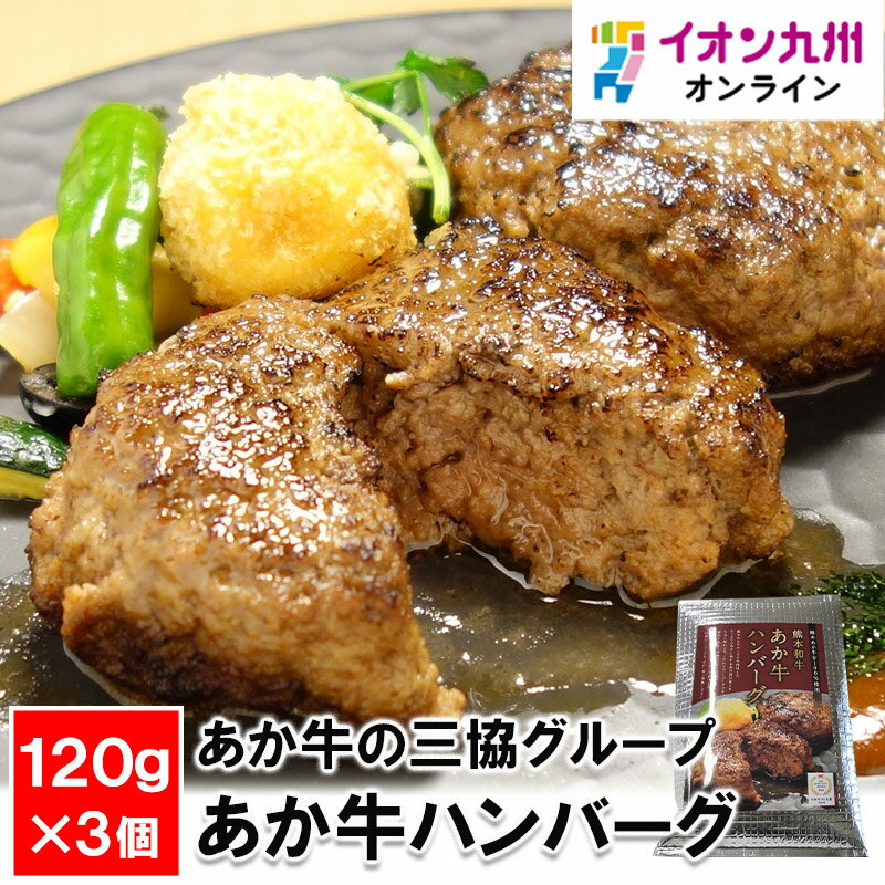 あか牛の三協グループ あか牛ハンバーグ120g×3個セット