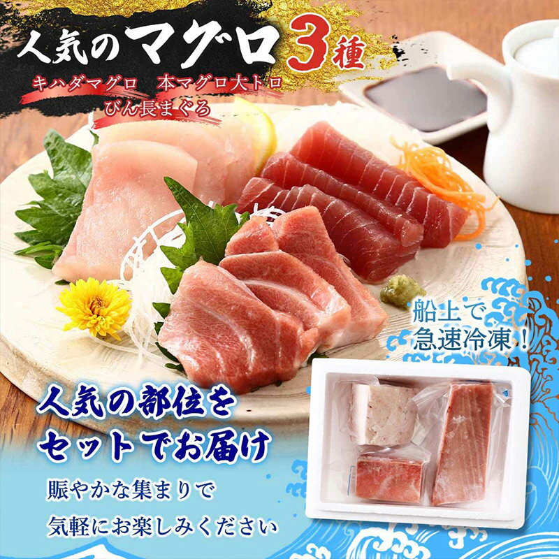 【最大500円OFFクーポン配布中♪6/4 20:00~6/11 9:59】 まぐろ3種セット キハダマグロ赤身(生食用) 200g、本マグロ大トロ(養殖) 80g、ビン長まぐろ・とろ 300g 赤身 大トロ トロ とろ まぐろ マグロ 鮪 刺身 冷凍 新洋水産 生食用 お取り寄せ お取寄せ グルメ 食べ物 2