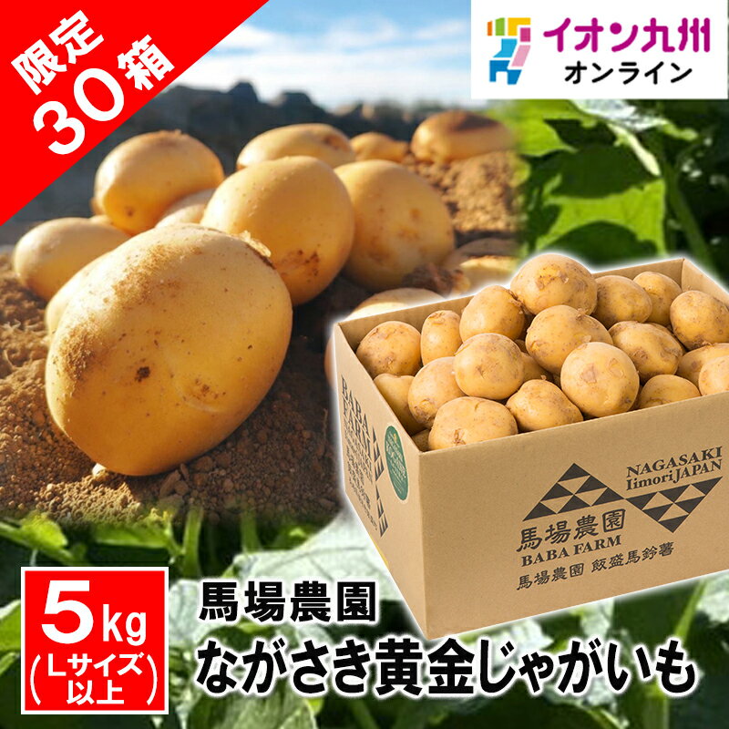 長崎県産 ながさき黄金じゃがいも Lサイズ以上 5kg ジャガイモ じゃがいも イモ 芋 黄金じゃがいも 野菜