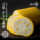 【P3★4/20 0:00~4/22 9:59】 森からし蓮根 からし蓮根 中3本箱 280g×3 辛子 からし カラシ 蓮根 れんこん レンコン からしれんこん 辛子れんこん からし蓮根 熊本 名物 特産品 特産物 熊本名物 お取り寄せ お取寄せ グルメ 酒の肴 おつまみ