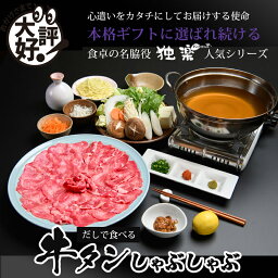 【最大500円OFFクーポン配布中♪4/24 20:00~4/30 9:59】 あごだしで食べる牛タン しゃぶしゃぶ セット 2～3人前