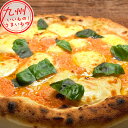 明太モッツァレラ 普通サイズ 直径23cm 明太子ソース チーズ ピザ ピッツァ おやつ 軽食 冷凍食品 クリスマス ギフト プレゼント パーティー ディナー ...