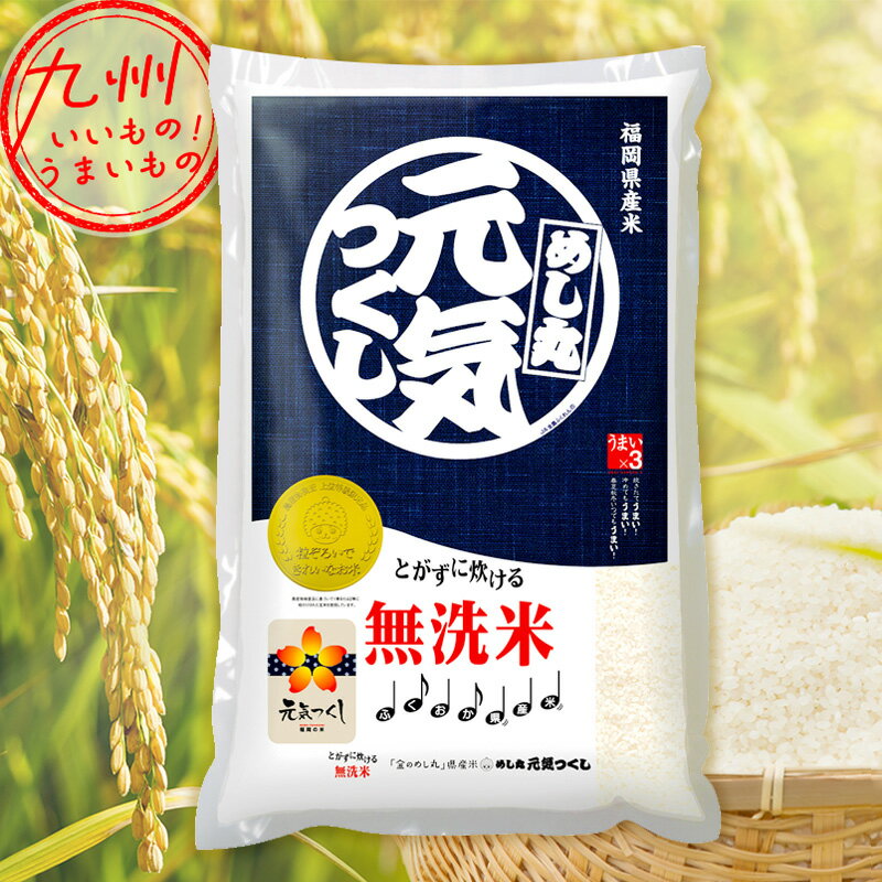 【P3★12/13 0:00～12/18 9:59】 令和5年産 福岡県産 無洗米 金のめし丸 元気つくし 5kg 米 精米 白米 お米 こめ 福岡 福岡の米 産地直送 送料無料のサムネイル