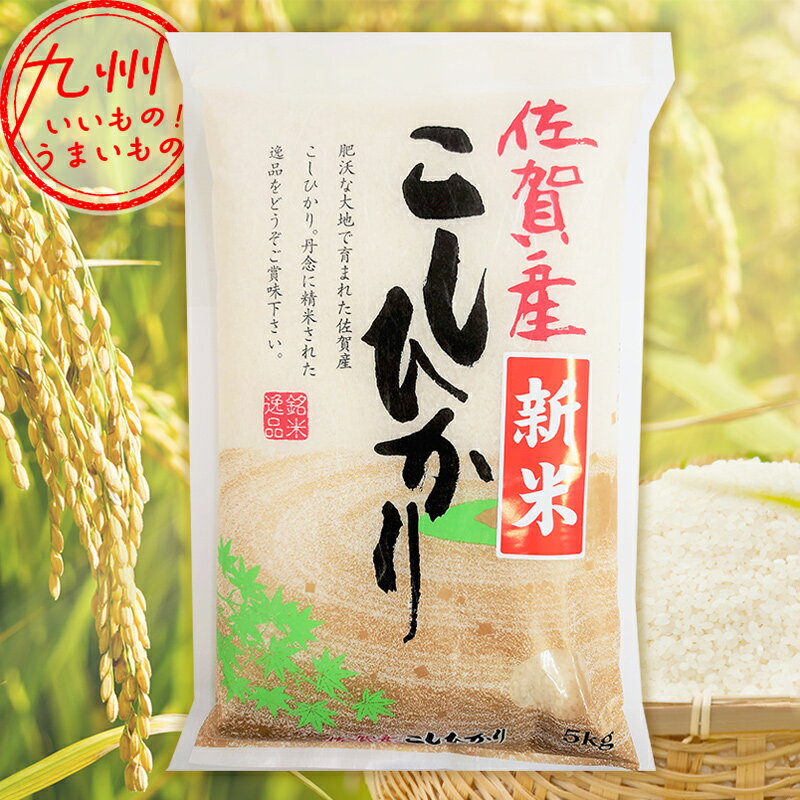 令和5年産 佐賀県産 佐賀産 こしひかり 5kg 米 精米 白米 お米 こめ 佐賀 佐賀の米 産地直送 送料無料