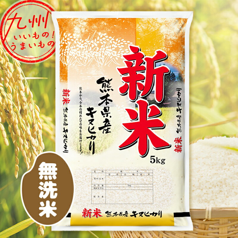 令和5年産 熊本県産 無洗米 キヌヒカリ 5kg 米 精米 白米 お米 こめ 熊本 ...