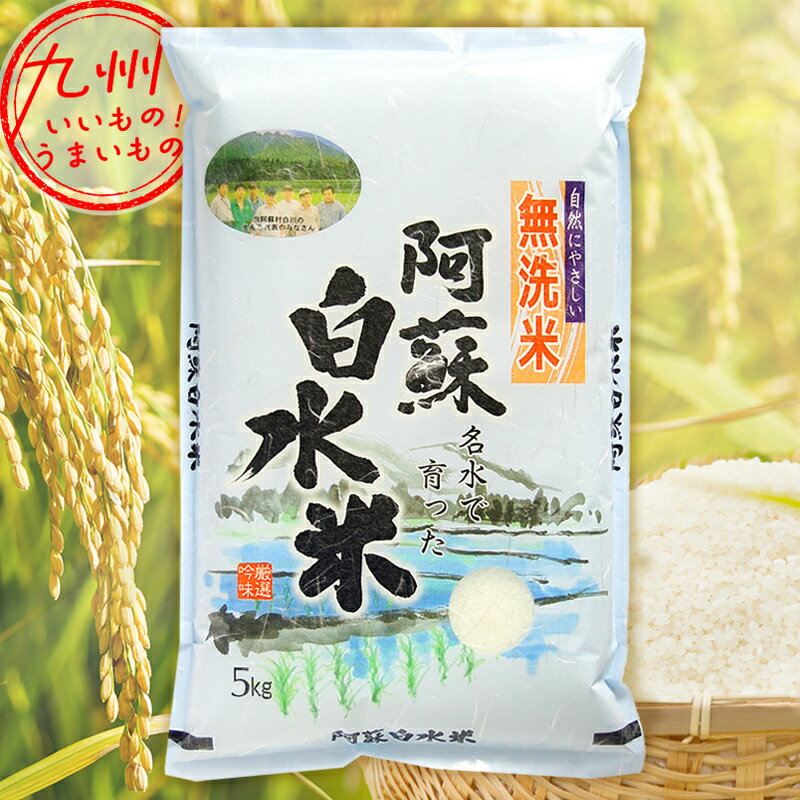 【最大500円OFFクーポン配布中♪6/22 20:00〜6/27 9:59】 米 白米 無洗米 阿蘇白水米 5kg さかぐち 九州産 熊本県産 うるち米 白川 名水のサムネイル