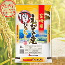 令和5年産宮崎県産 えびの産 ひのひかり 5kg 米 白米 宮崎県産ひのひかり ミヤベイ直販 ひのひかり 国産 日本 宮崎県 宮崎 宮崎県産 お米 おこめ コメ ギフト 贈り物 お祝い 御礼 お礼 プレゼント