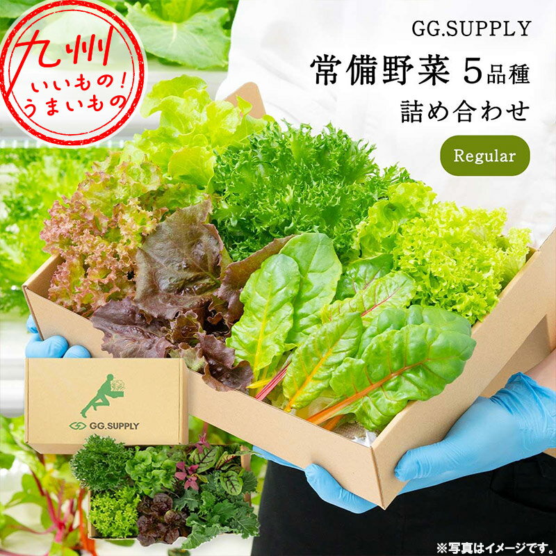 Regular 常備野菜 5品種 詰め合わせ 葉野菜5種 GG.SUPPLY ジージーサプライ 1か月日持ち 日持ち 長持ち ドレッシング不要 野菜 やさい ヤサイ 料理 採れたて 新鮮 五つ星ホテル採用 詰め合わせセット 葉物 葉野菜 葉物野菜 お取り寄せ お取寄せ グルメ その1