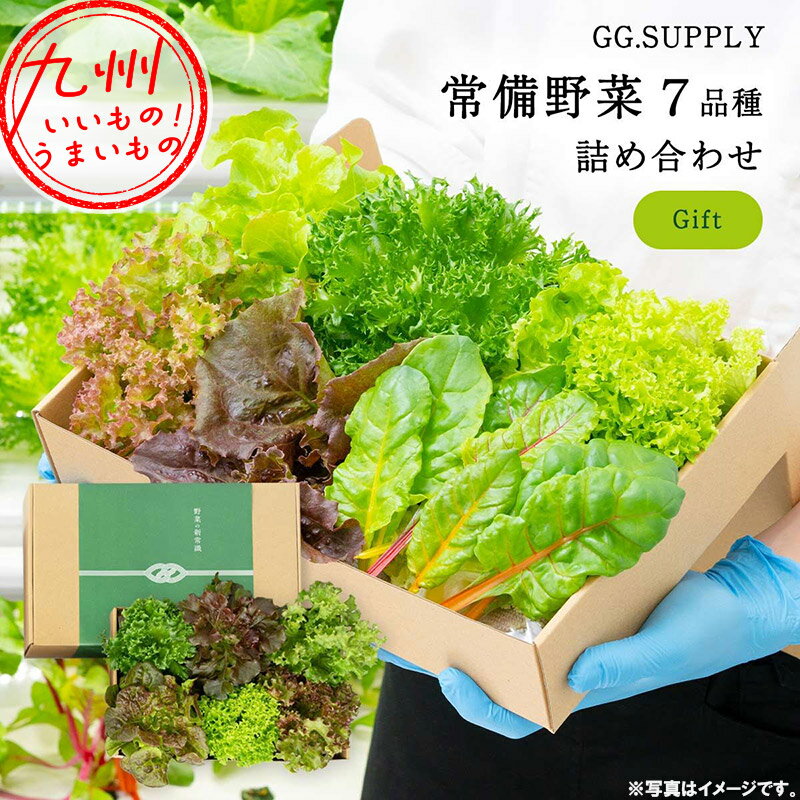 楽天イオン九州オンラインGift 常備野菜 7品種の贈り物 葉野菜7種 GG.SUPPLY ジージーサプライ 1か月日持ち 日持ち 長持ち ドレッシング不要 野菜 やさい ヤサイ 料理 採れたて 新鮮 五つ星ホテル採用 詰め合わせセット 葉物 葉野菜 葉物野菜 お取り寄せ お取寄せ グルメ