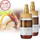 【P3倍★5/30 0:00~6/2 9:59】 近藤養蜂場 ベトナム産 コーヒーはちみつ 250g×2 はちみつ ハチミツ 蜜 蜂蜜 珈琲 コーヒー