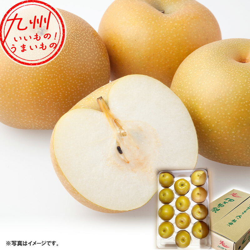 【最大500円OFFクーポン配布中♪10/4 20:00~10/9 9:59】 佐賀県産 あきづき梨 5kg 4Lサイズ 12玉 JA伊万里 梨 なし ナシ あきづき梨 伊万里 佐賀産 佐賀県 さが サガ 果物 フルーツ くだもの お取り寄せ お取寄せ グルメのサムネイル