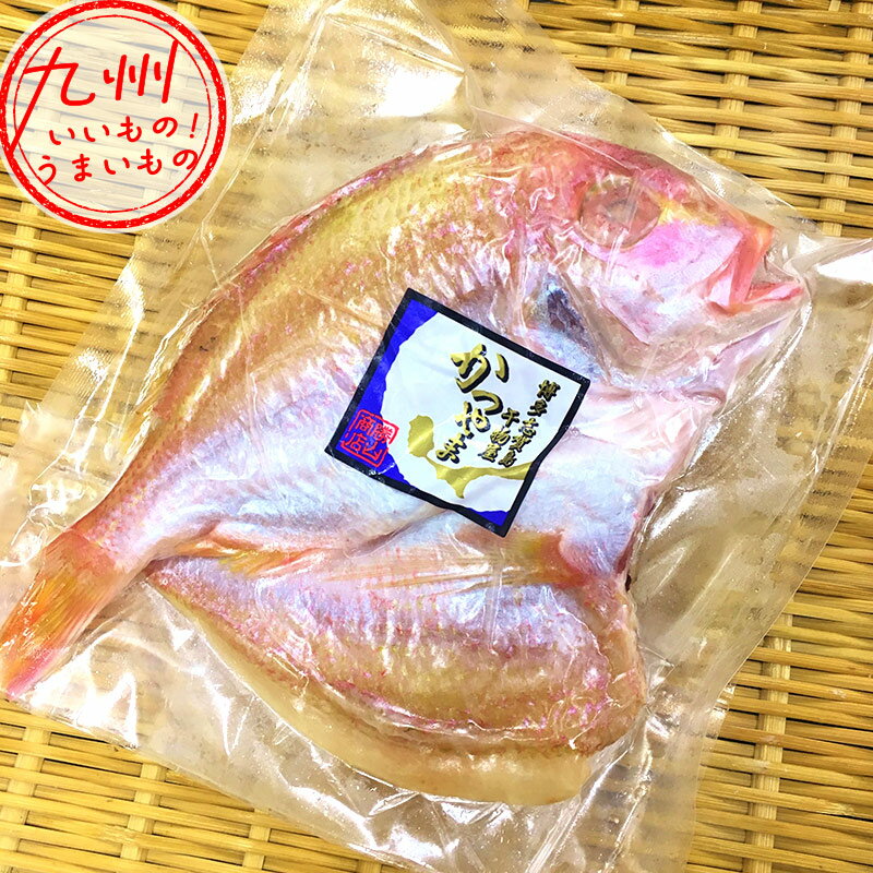 【P3倍★5/5 0:00~5/7 9:59】 勝山商店 連子鯛開き 連子鯛 れんこ鯛 レンコ鯛 れんこだい レンコダイ 魚 お魚 さかな おさかな お取り寄せ お取寄せ おとりよせ グルメ