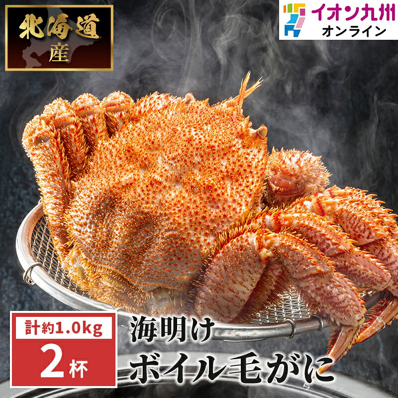 【P3倍★12/25限定】 海明けボイル毛がに　約500g×2杯