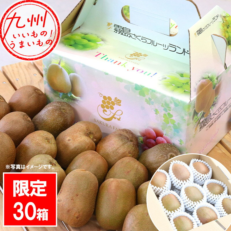 【P3倍★10/25 0:00~10/27 9:59】 豪華食べ比べセット！ 「 紅妃 」「 東京ゴールド 」「 クリーミー三鷹 」 キウイ 3種 さくらフルーツ農園 キウイフルーツ 鹿児島産 鹿児島 果物 フルーツ くだもの 鹿児島のフルーツのサムネイル