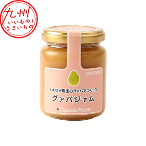 グァバジャム 155g ジャム お取り寄せ お取寄せ おとりよせ グルメ ご当地グルメ 岩崎産業