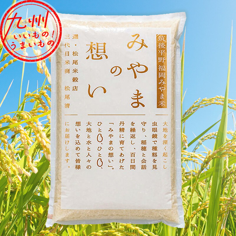 令和5年産 福岡県産 福岡みやま米 5kg 精米 白米 お米 米 5k 福岡の米 みやま米 みやまのサムネイル