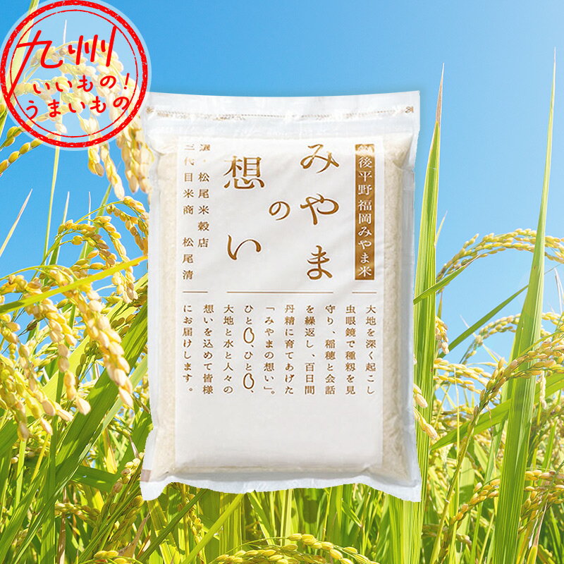 令和5年産 福岡県産 福岡みやま米 2kg 精米 白米 お米 米 2k 福岡の米 みやま米 みやまのサムネイル