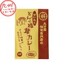 ぜいたく どんこ椎茸カレー 中辛 200g カレー お惣菜 惣菜 どんこ 椎茸 しいたけ シイタケ ランチ 昼ご飯 夜ご飯 夕食 夕ご飯 お取寄せ お取り寄せ おとりよせ グルメ 上田椎茸専門店(4)
