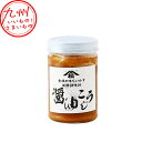 【P3倍★5/30 0:00~6/2 9:59】 醤油こうじ 170g