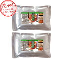 サンダイナー食品 塩ホルモン焼 500g×2