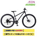 【20日から27日限定!P5倍+先着1,100円OFFクーポン発行中】【お店受取り送料無料】スワームDJ A 外装6段変速 29インチ マウンテンバイク