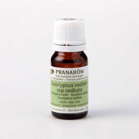 プラナロム（PRANAROM) ケモタイプ精油（エッセンシャルオイル） ユーカリ・ラディアタ 10mlのサムネイル