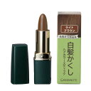 グリーンノート ヘアカラースティック ライトブラウン 4g