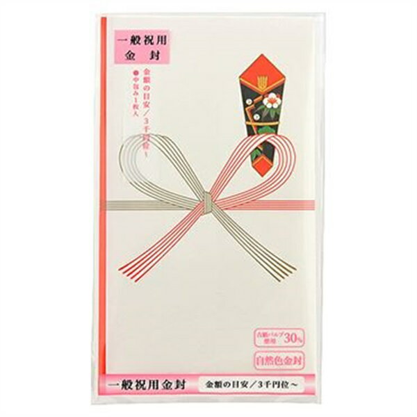 金封本式多当祝水引1P　トップバリュ