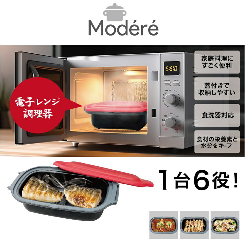 電子レンジ専用調理器（レシピ付き） 電子レンジ 調理器 焼き魚 レンジ 焼く 煮る 万能 小型 肉 魚