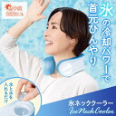 氷嚢 スポーツ ネッククーラー 氷のう 2025 首 ネック 氷 最強 首用 ネックリング ネックアイスリング スポーツ アウトドア 子供 大人 キッズ メンズ...