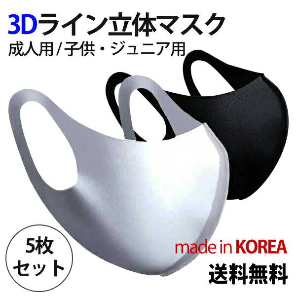 【5枚セット】3Dライン立体マスク【