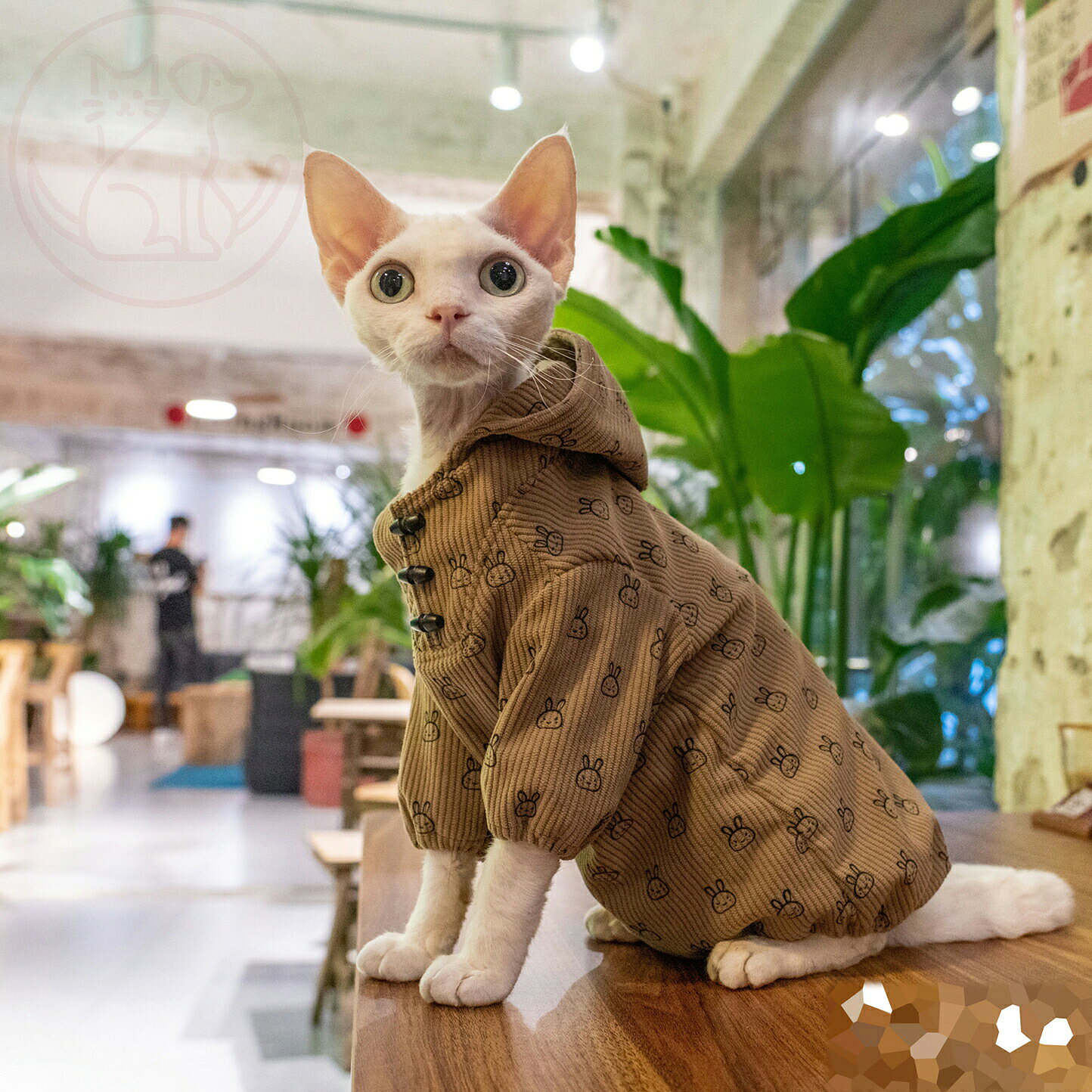 Pet Outer Collection DreamPet 猫用オーバーサイズコーデュロイフーディー デボンレックスやスフィンクスなど、被毛の少ない猫に最適なアウターです。やわらかなコーデュロイ素材で肌当たりよく、寒がりな無毛猫の体を優しく守ります。 — Feature — やわらかコーデュロイ素材起毛感のある灯芯絽生地で、無毛猫のデリケートな肌にも摩擦軽減。秋冬の冷え込みから体を守ります。 オーバーサイズ設計体にやさしくゆとりある着心地。動きやすさと保温性を両立し、室内でのリラックス時間も快適に過ごせます。 フーディータイプフード付きデザインで首元もカバー。脱げにくく動きやすく、お出かけや室内での着せ替えに最適です。 — Size — XS / S / M / L / XL より、ペットのサイズに合わせてお選びください。詳しくはサイズ表をご確認の上ご注文ください。 — Care — 洗濯ネットを使用し、中性洗剤で手洗い推奨です。直射日光を避け、陰干ししてください。 Aesop LionMouse Aesop LionMouse tjjc9873@hotmail.comDreamPet コーデュロイフーディー 無毛猫の肌を優しく包む、やわらかオーバーサイズアウター デボンレックスやスフィンクスなど被毛の少ない猫に特化した、コーデュロイ素材のフーディーアウターです。やわらかな起毛生地が肌あたり優しく、寒がりな無毛猫の体を秋冬の冷えから守ります。オーバーサイズ設計で動きやすく、室内でのおしゃれ着せ替えやお出かけにもおすすめです。 項目 内容 ブランドDreamPet タイプフーディー・アウター 素材コーデュロイ（灯芯絽） 対象猫 / デボンレックス / 無毛猫 サイズXS / S / M / L / XL シーズン秋冬 / 防寒 特徴オーバーサイズ / 保温 / 肌当たりやわらか 洗濯洗濯ネット手洗い・陰干し推奨 POINT 01 やわらかコーデュロイ素材で肌当たり抜群 起毛感のある灯芯絽生地使用。無毛猫のデリケートな肌に優しく摩擦を軽減し、秋冬の冷え込みから体を守ります。 POINT 02 オーバーサイズ設計で動きやすく保温性も。 体にやさしくゆとりあるシルエットで、動きやすさと保温性を両立。室内でのリラックス時間も快適に過ごせます。 POINT 03 フーディータイプで首元もしっかりカバー フード付きデザインで首元をほふく。脱げにくく動きやすく、お出かけや室内での着せ替えに最適です。 SIZE / TYPE サイズ展開：XS / S / M / L / XL ペットの首回り・胴回りに合わせてお選びください。 素材：コーデュロイ（灯芯絽） お手入れ：洗濯ネットを使用し中性洗剤で手洗い。陰干ししてください。 対象：猫全般 / デボンレックス / スフィンクス など被毛の少ない猫に最適