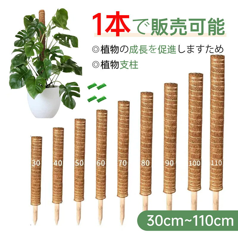 よく一緒に購入されている商品 素材天然ココナツ繊維サイズ約35cm~110cmパッケージ内容1本入り、2本入り適応植物ヘデラ類、ポトス、フィロデンドロン、モンステラシンゴニュームなどの観葉植物用おすすめポイントココナッツシェル製のトーテムポールは、植物に優しい天然素材で作られています。ココナッツの繊維は水分と栄養を保持し、植物が健康に育つのをサポートします。コイヤ製のトーテムポールは、植物にとって安全で、植物の成長を強力に支えます。水分と栄養をしっかり保ち、植物の健やかな成長を促します。トーテムポールのプラントサポートは、ツル植物やモンステラ、ポトス、マネープラントなど、さまざまな室内のつる性植物に最適です。植物が絡みついて上に伸びやすくなる理想的なツールです。注意事項商品写真はできる限り実物の色に近づけるよう調整しておりますが、ご覧になるモニターの設定や室内の照明環境により、実際の商品と色合いが異なる場合がございます。記載しているサイズは平置きでの採寸ですので、2〜3cmほどの誤差が生じる場合がございます。仕入れや生産時期により、商品画像と細部が若干異なる場合がございます。あらかじめご了承ください。ハンドメイド商品ですので、形状やサイズに多少の違いが生じることがあります。同一の商品であっても、生産時期やカラーによって若干の誤差が生じることがございます。メーカー希望小売価格はメーカーサイトに基づいて掲載していますメーカー希望小売価格はメーカーサイトに基づいて掲載しています＼今週の目玉セール！／ 人気アイテムがお得に買えるチャンス 素材天然ココナツ繊維サイズ約35cm~110cmパッケージ内容1本入り、2本入り適応植物ヘデラ類、ポトス、フィロデンドロン、モンステラシンゴニュームなどの観葉植物用おすすめポイントココナッツシェル製のトーテムポールは、植物に優しい天然素材で作られています。ココナッツの繊維は水分と栄養を保持し、植物が健康に育つのをサポートします。コイヤ製のトーテムポールは、植物にとって安全で、植物の成長を強力に支えます。水分と栄養をしっかり保ち、植物の健やかな成長を促します。トーテムポールのプラントサポートは、ツル植物やモンステラ、ポトス、マネープラントなど、さまざまな室内のつる性植物に最適です。植物が絡みついて上に伸びやすくなる理想的なツールです。注意事項商品写真はできる限り実物の色に近づけるよう調整しておりますが、ご覧になるモニターの設定や室内の照明環境により、実際の商品と色合いが異なる場合がございます。記載しているサイズは平置きでの採寸ですので、2〜3cmほどの誤差が生じる場合がございます。仕入れや生産時期により、商品画像と細部が若干異なる場合がございます。あらかじめご了承ください。ハンドメイド商品ですので、形状やサイズに多少の違いが生じることがあります。同一の商品であっても、生産時期やカラーによって若干の誤差が生じることがございます。 よく一緒に購入されている商品