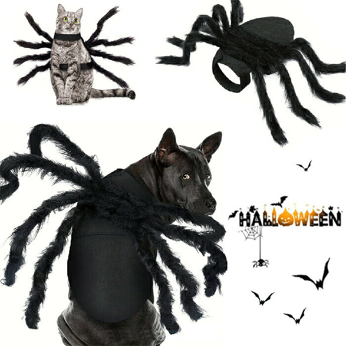 ハロウィン コスプレ衣装 ペット 蜘蛛 仮装 コスチューム クモ 黒蜘蛛 犬服 猫服 コスプレ くものコスチューム ペットコスプレ ハロウィン 猫 小型犬用 変身グッズ コスチューム ペット服 ハロウィン仮装 犬用服 中小型犬 ペット 猫服 撮影道具猫服 ドッグウェア Halloween cosplay costume 仮装 着ぐるみ くも クモ 可愛い おしゃれ 面白い お出掛け 写真 犬猫通用 ワンちゃん ネコちゃん パーティーの装飾。ハロウィン コスプレ衣装 ペット 蜘蛛 仮装 コスチューム クモ 黒蜘蛛 犬服 猫服 コスプレ くものコスチューム ペットコスプレ ハロウィン 猫 小型犬用 変身グッズ コスチューム ペット服 ハロウィン仮装 犬用服 中小型犬 ペット 猫服 撮影道具ハロウィン コスプレ衣装 ペット 蜘蛛 仮装 コスチューム クモ 黒蜘蛛 犬服 猫服 コスプレ くものコスチューム ペットコスプレ ハロウィン 猫 小型犬用 変身グッズ コスチューム ペット服 ハロウィン仮装 犬用服 中小型犬 ペット 猫服 撮影道具ハロウィン コスプレ衣装 ペット 蜘蛛 仮装 コスチューム クモ 黒蜘蛛 犬服 猫服 コスプレ くものコスチューム ペットコスプレ ハロウィン 猫 小型犬用 変身グッズ コスチューム ペット服 ハロウィン仮装 犬用服 中小型犬 ペット 猫服 撮影道具猫服 ドッグウェア Halloween cosplay costume 仮装 着ぐるみ くも クモ 可愛い おしゃれ 面白い お出掛け 写真 犬猫通用 ワンちゃん ネコちゃん パーティーの装飾。ハロウィン コスプレ衣装 ペット 蜘蛛 仮装 コスチューム クモ 黒蜘蛛 犬服 猫服 コスプレ くものコスチューム ペットコスプレ ハロウィン 猫 小型犬用 変身グッズ コスチューム ペット服 ハロウィン仮装 犬用服 中小型犬 ペット 猫服 撮影道具ハロウィン コスプレ衣装 ペット 蜘蛛 仮装 コスチューム クモ 黒蜘蛛 犬服 猫服 コスプレ くものコスチューム ペットコスプレ ハロウィン 猫 小型犬用 変身グッズ コスチューム ペット服 ハロウィン仮装 犬用服 中小型犬 ペット 猫服 撮影道具