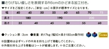 【ポイント5倍】【高田ベッド 折りたたみベッド】【期間限定特価2020年5月8日迄　特注品は対象外】 有孔オリコベッド・オスロ　TB-1415U　治療用ベッド　マッサージベッド 8本脚構造