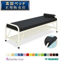 高田ベッド 訓練ケアベッド TB-1036 治療用ベッド マッサージベッド 診察台 高田ベッド製作所 【高田ベッド リハビリベッド 訓練台 エステ 医療 整体 施術用ベッド 業務用】(3)