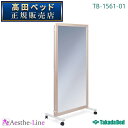 高田ベッド 姿勢矯正用鏡(片面式) TB-1561-01 全身用 大型鏡 【高田ベッド 飛散防止加工 歩行訓練】(4)