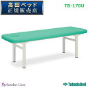 高田ベッド 有孔マールアプロ TB-170U 治療用ベッド 診察台 高田ベッド製作所 【高田ベッド マッサージベッド エステ 医療 整体 施術用ベッド 業務用】(3)
