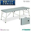 【ポイント5倍】 高田ベッド 有孔トライ　TB-252U　治療用ベッド 診察台 高田ベッド製作所 【高田ベッド マッサージベッド エステ 医療 整体 施術用ベッド 業務用】