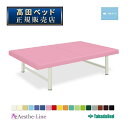 【送料無料】キャンバスベッド TB-794(55X180X18CM) グリーン