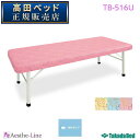 高田ベッド 有孔パークベッド TB-516U 治療用ベッド 診察台 高田ベッド製作所 【高田ベッド マッサージベッド エステ 医療 整体 施術用ベッド 業務用】